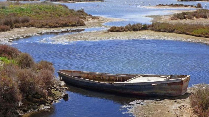 alterrumbo-voyages-scolaires-espagne-deltebre-pixabay